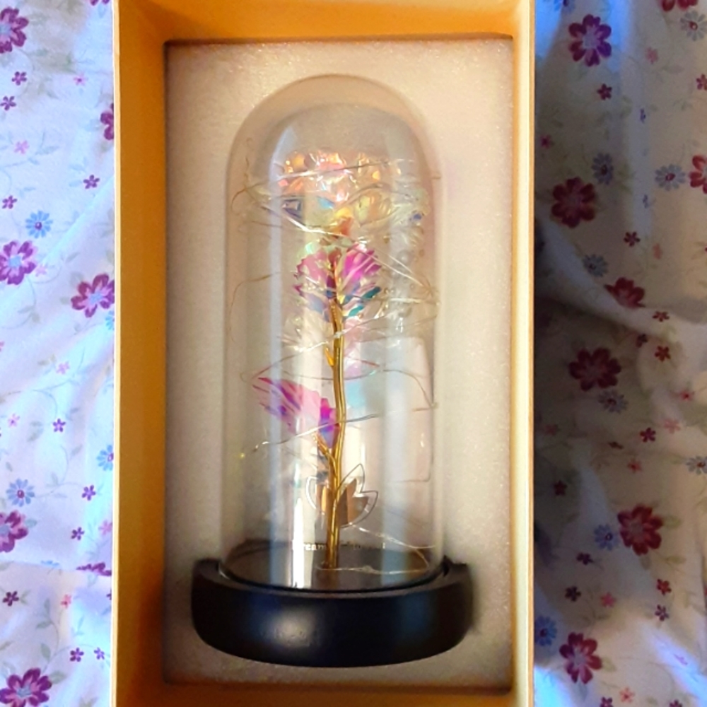 Dream of Flowers galaxy rose